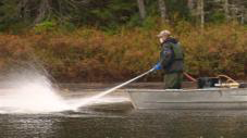 Vider un Lac